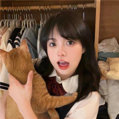 恋恋飞翔